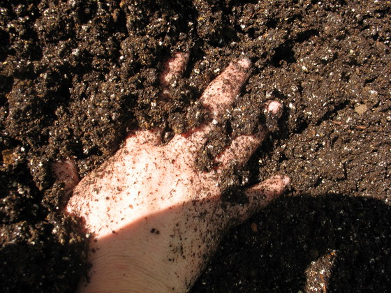 hand dirt